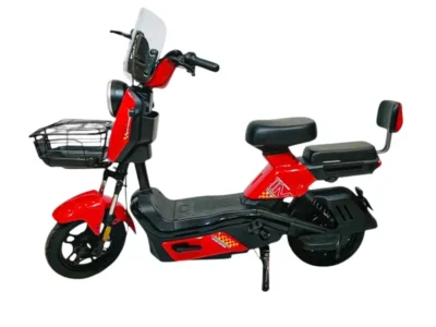 Wind Horse M6 Electric Bike Up to 40 km/h