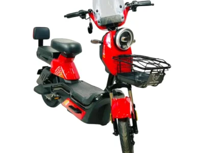 Wind Horse M6 Electric Bike Up to 40 km/h