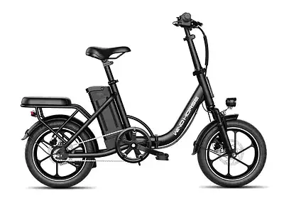 Wind Horse W2B Electric Bike 25 km/h
