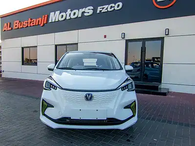 2024 Changan E-Star Full Option 250 - 350 KM White Blue Hatchback