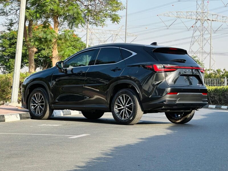 2022 Lexus NX350h Platinum 2.5L Hybrid 4 Cylinders Engine Black Red SUV