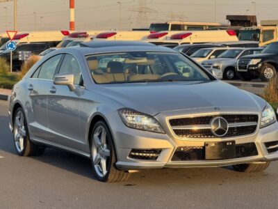 Mercedes-Benz CLS550 AMG Package 4.7L V8 Biturbo Silver Tan Sedan RWD