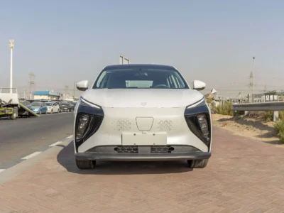 2025 Forthing Friday Dong Feng Electric 410Km White Black SUV