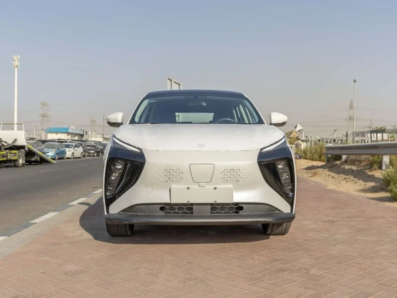 2025 Forthing Friday Dong Feng Electric 410Km White Black SUV