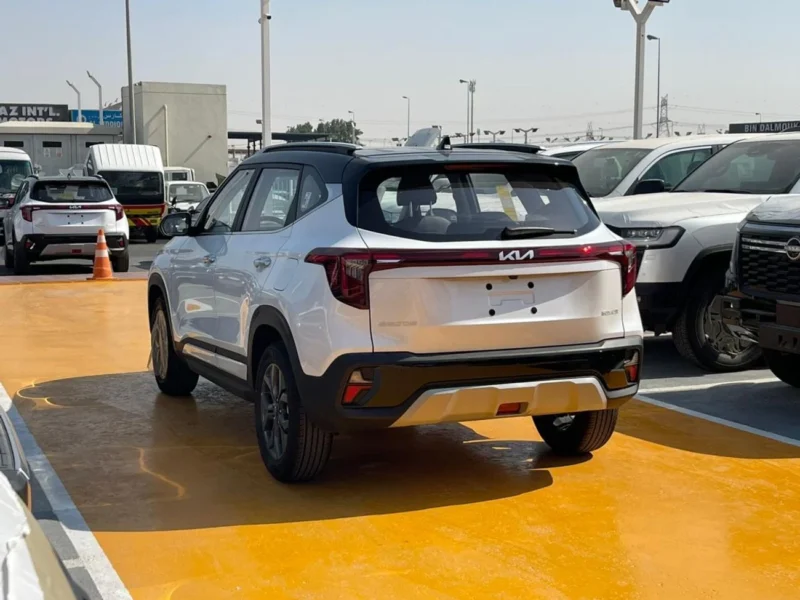 2025 Kia Seltos KIA SELTOS Black Roof 1.5 L 4 Cylinders Engine White Black SUV