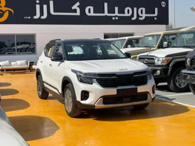 2025 Kia Seltos KIA SELTOS Black Roof 1.5 L 4 Cylinders Engine White Black SUV