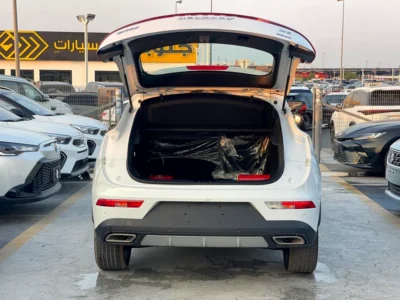 2024 DFSK Fengon 580 Intelligent 4 Cylinders Engine Petrol White Maroon Crossover