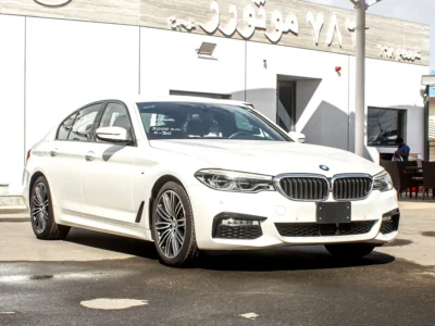 2017 BMW 5-Series 530i M Sport 2.0L Twin-Turbo Petrol 5A Grade White Black