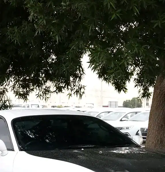 1996 Toyota Supra Premium 6 Cylinders Engine White Black Sports Car