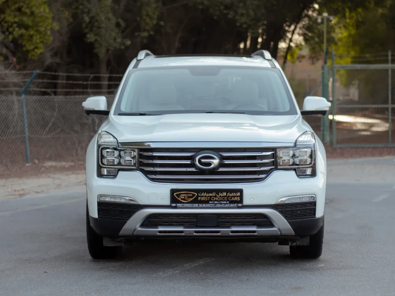 2020 GAC GS8 GL 2.0L 4 Cylinders Engine GCC Specs White Beige