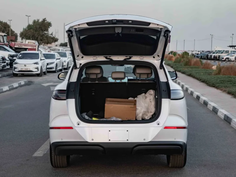 2025 BYD Sealion 06 DM-i NAVIGATE EDITION 0KM White Grey SUV