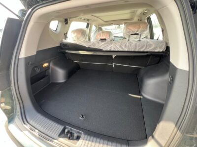 2024 LIVAN X6 Pro 1.5 Liter Turbo 4 Cylinder Petrol Engine Green Black SUV