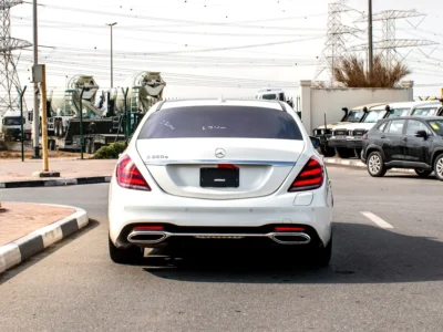 2018 Mercedes-Benz S-Class S 560 6 Cylinder Petrol Engine White Brown Sedan