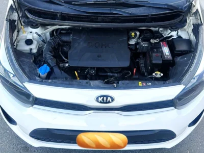 2019 Kia Picanto Other 4 Cylinder petrol Engine White Grey Hatchback