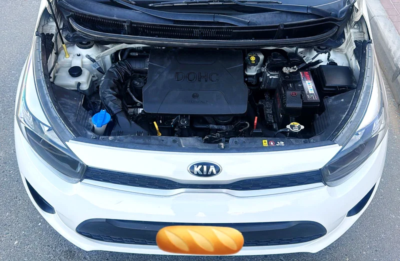 2019 Kia Picanto Other 4 Cylinder petrol Engine White Grey Hatchback