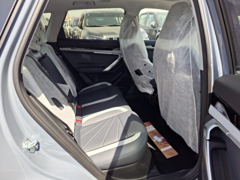 2025 Geely Starray 2.0 Liters 4 Cylinder Engine Glossy Blue Black SUV AT Petrol