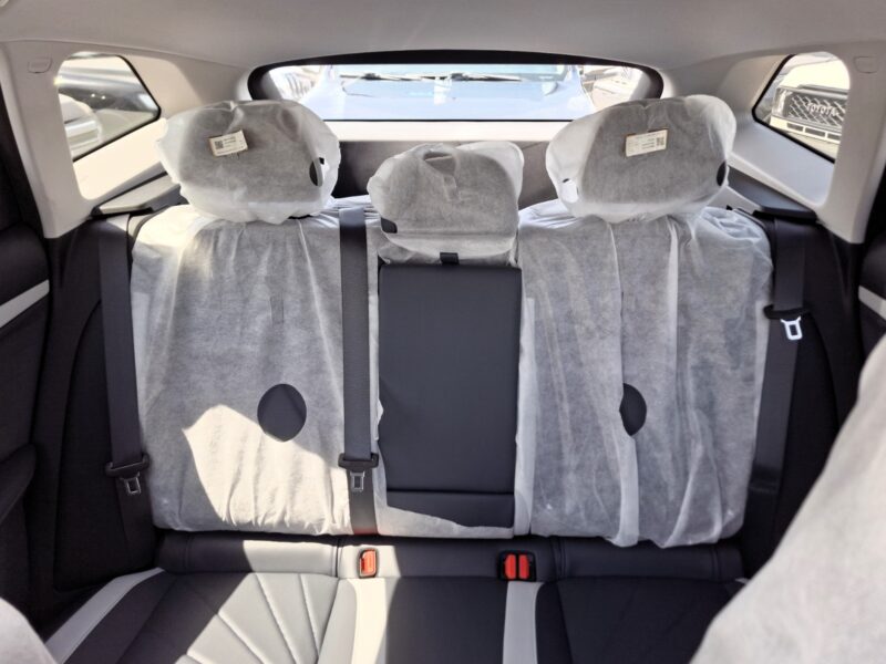 2025 Geely Starray 2.0 Liters 4 Cylinder Engine Glossy Blue Black SUV AT Petrol