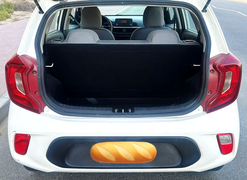 2019 Kia Picanto Other 4 Cylinder petrol Engine White Grey Hatchback