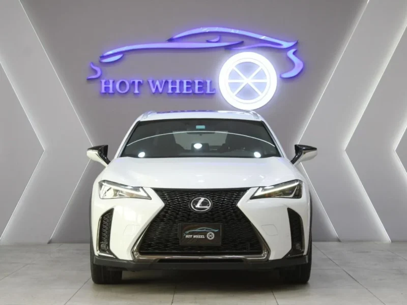 2019 Lexus UX200 F-Sport 2.0L 4 Cylinder Petrol Engine White Black SUV