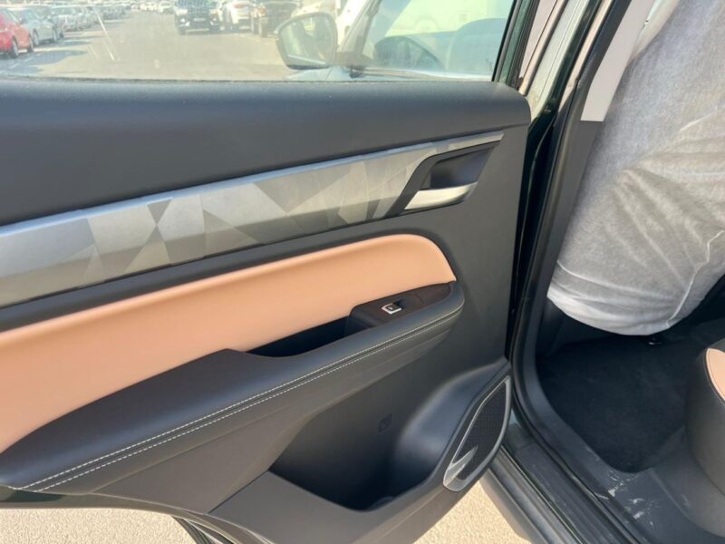 2024 LIVAN X6 Pro 1.5 Liter Turbo 4 Cylinder Petrol Engine Green Black SUV