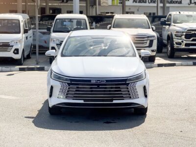 2025 BYD DESTROYER 05 1.5 Litre 4 Cylinder Hybrid Engine White Black Sedan