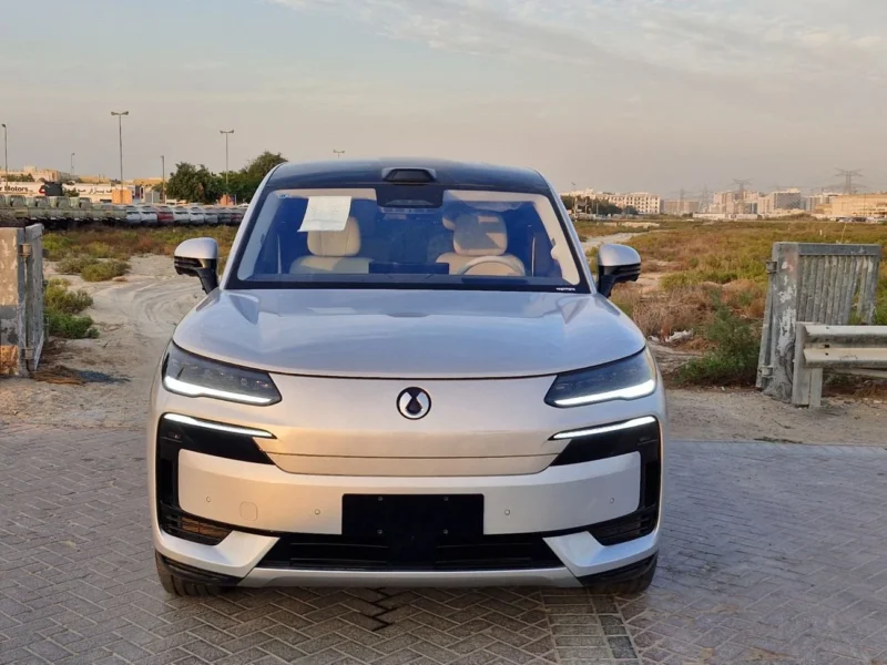 2025 BYD DENZA N9 e3 FLAGSHIP 2.0T Plug-in Hybrid 4 Cylinders Silver White SUV