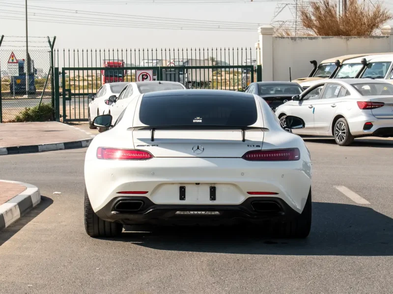 2017 Mercedes-Benz AMG GT 8 Cylinder Petrol Engine White Black Coupe
