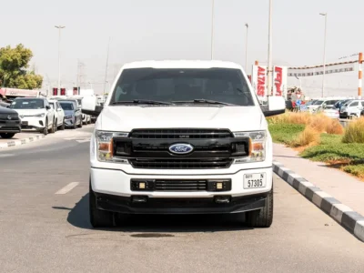 2019 Ford F-Series F150 Platinum 8 Cylinders Engine White Grey Pick Up Truck