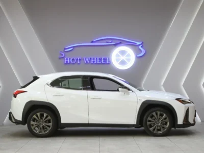 2019 Lexus UX200 F-Sport 2.0L 4 Cylinder Petrol Engine White Black SUV