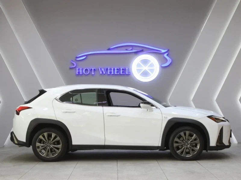 2019 Lexus UX200 F-Sport 2.0L 4 Cylinder Petrol Engine White Black SUV