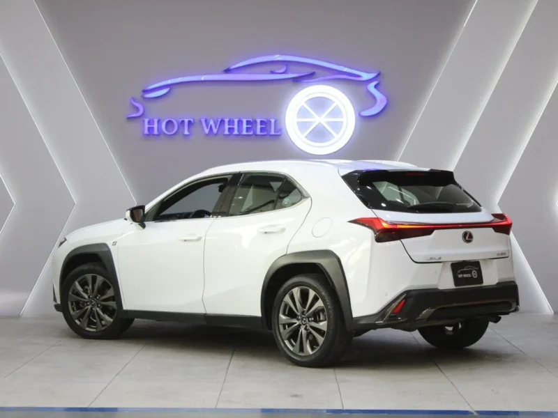 2019 Lexus UX200 F-Sport 2.0L 4 Cylinder Petrol Engine White Black SUV
