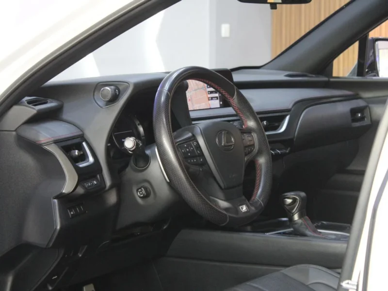 2019 Lexus UX200 F-Sport 2.0L 4 Cylinder Petrol Engine White Black SUV