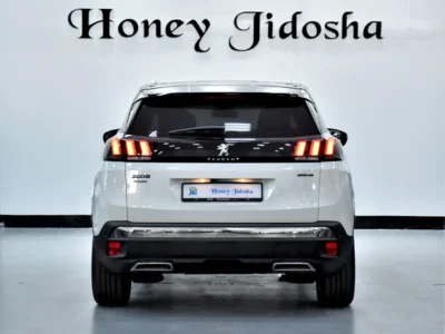 2020 Peugeot 3008 GT Line 4 Cylinder Petrol Engine White Black Crossover