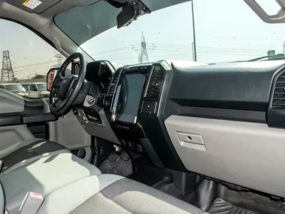 2019 Ford F-Series F150 Platinum 8 Cylinders Engine White Grey Pick Up Truck