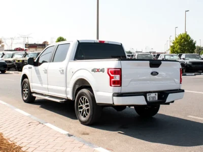 2019 Ford F-Series F150 Platinum 8 Cylinders Engine White Grey Pick Up Truck