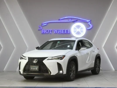 2019 Lexus UX200 F-Sport 2.0L 4 Cylinder Petrol Engine White Black SUV