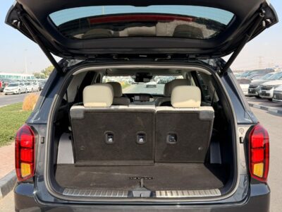 2021 HYUNDAI PALISADE CALLIGRAPHY 3.8L V6 Engine VVT Blue White SUV