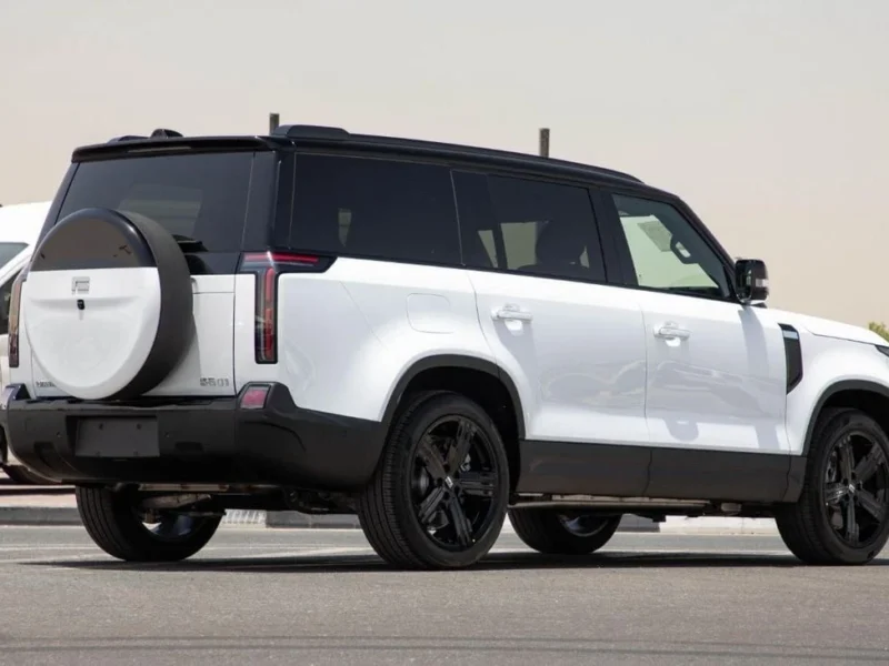 2025 ROX 01 VIP 7 seats 1.5L PLUG-IN Hybrid LONG RANGE White Orange SUV