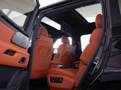 2025 ROX 01 VIP 7 seats 1.5L PLUG-IN Hybrid LONG RANGE Black Orange SUV