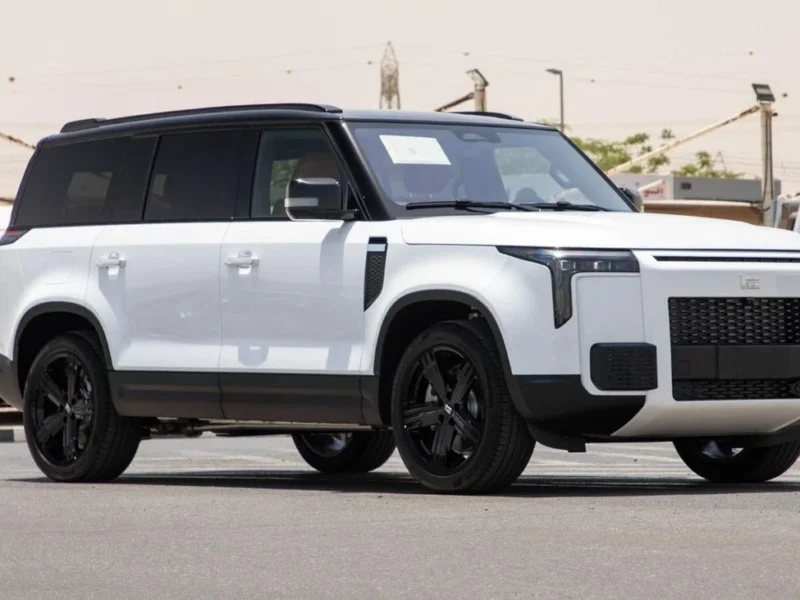 2025 ROX 01 VIP 7 seats 1.5L PLUG-IN Hybrid LONG RANGE White Orange SUV