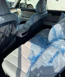 2024 Hyundai Palisade 3.8 Litres V6 Cylinder Petrol Engine Black Beige SUV