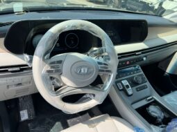 2024 Hyundai Palisade 3.8 Litres V6 Cylinder Petrol Engine Black Beige SUV