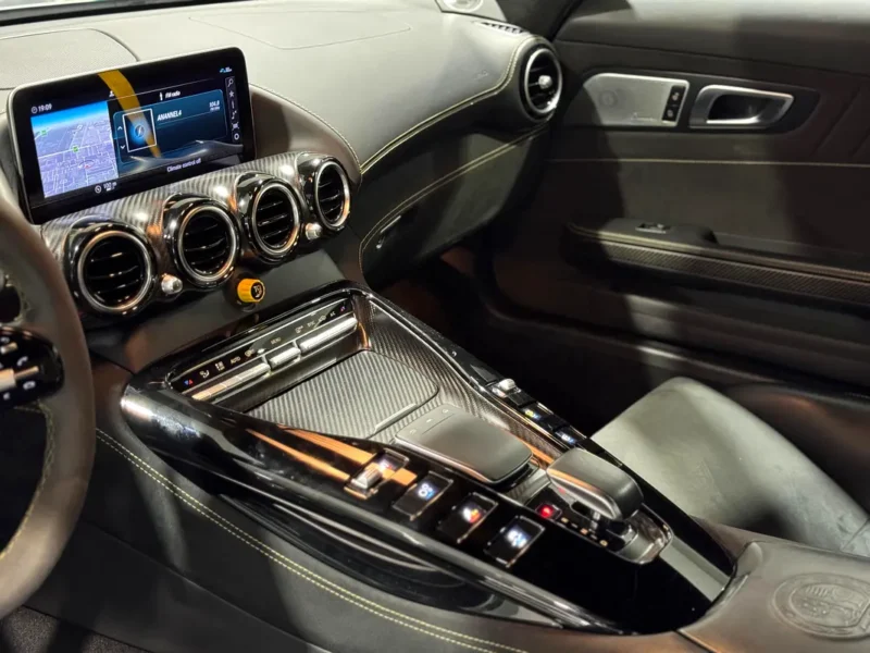 2019 Mercedes-Benz AMG GT R Pro 8 Cylinders Engine Silver Black Coupe