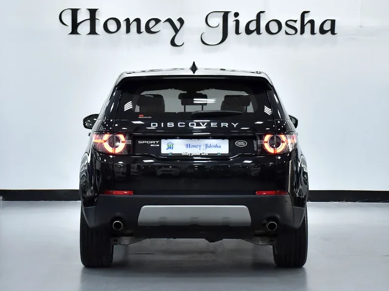 2018 Land Rover Discovery Sport HSE 4 Cylinders Engine Black Beige Crossover