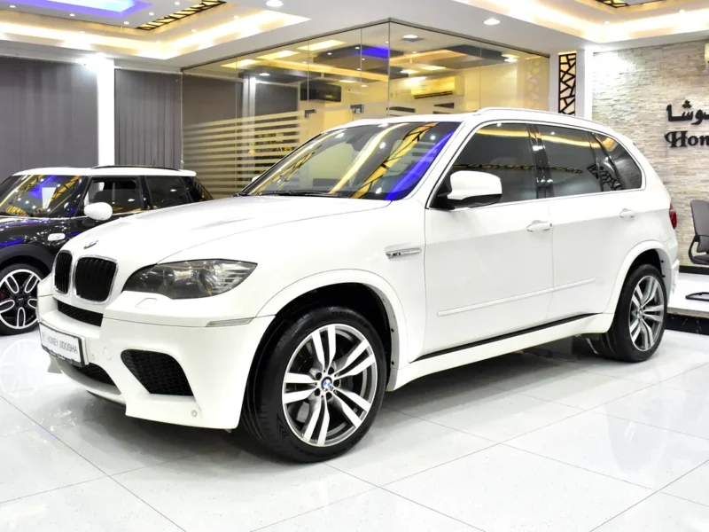 2010 BMW X5 M 8 Cylinders Petrol Engine White Brown SUV GCC Specs