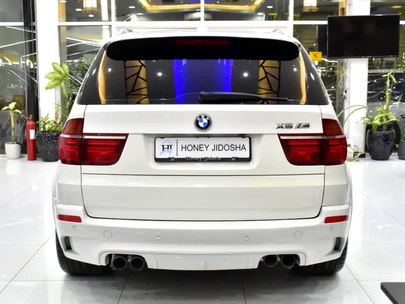 2010 BMW X5 M 8 Cylinders Petrol Engine White Brown SUV GCC Specs
