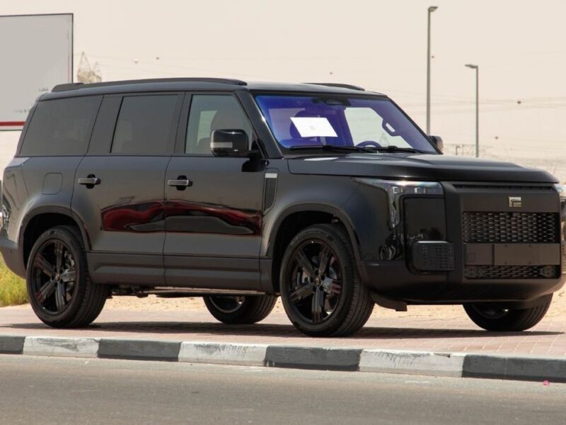 2025 ROX 01 VIP 7 seats 1.5L PLUG-IN Hybrid LONG RANGE Black Orange SUV