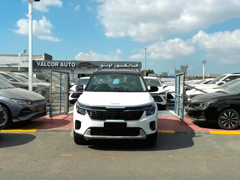 2025 Kia Seltos Luxury Edition 4 Cylinder Petrol Engine White Black SUV