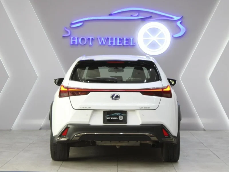2019 Lexus UX200 F-Sport 2.0L 4 Cylinder Petrol Engine White Black SUV
