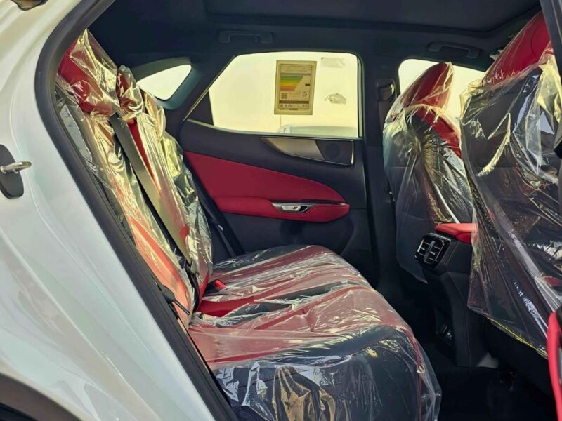 2024 Lexus NX350 F SPORT TURBO CHARGED 4 Cylinders Engine White Red SUV GCC